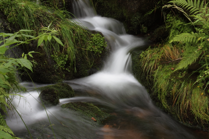 Killikus&reg; Fotographie