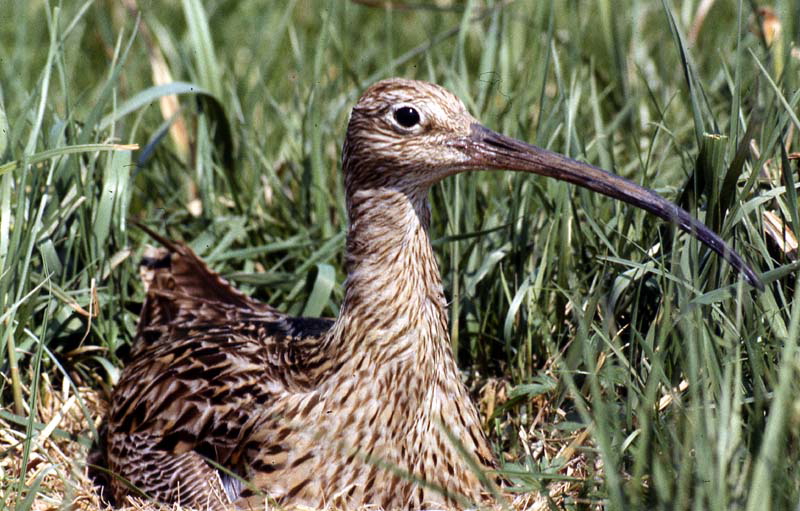 Killikus&reg; Fotographie