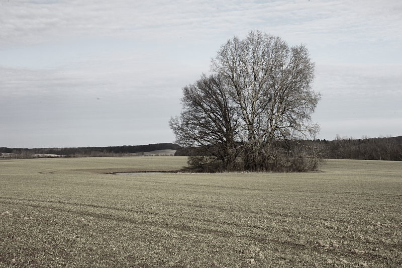 Killikus&reg; Fotographie