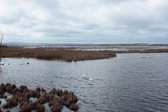 Killikus&reg; Fotographie