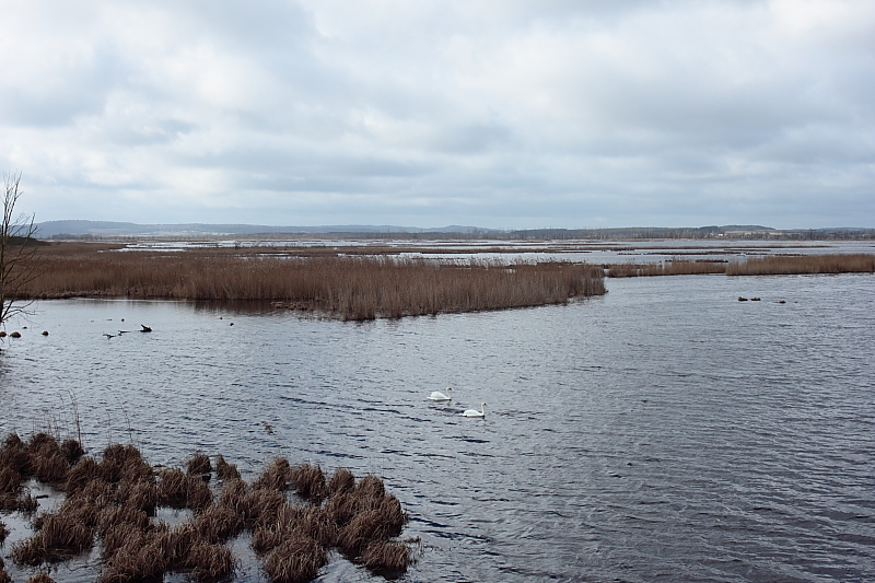 Killikus® Fotographie Killikus® Fotographie