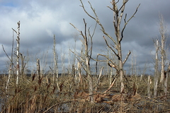 Killikus&reg; Fotographie