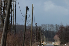 Killikus&reg; Fotographie