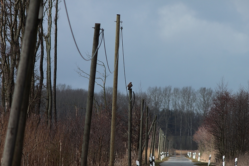 Killikus&reg; Fotographie