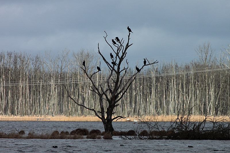 Killikus® Fotographie Killikus® Fotographie