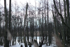 Killikus&reg; Fotographie