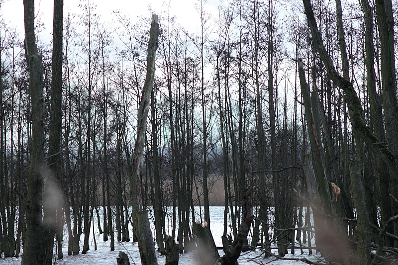 Killikus&reg; Fotographie