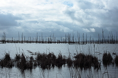 Killikus&reg; Fotographie