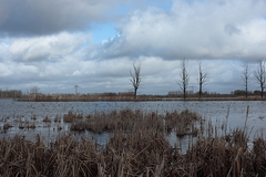 Killikus&reg; Fotographie