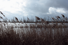 Killikus&reg; Fotographie