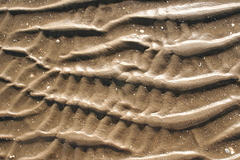 Killikus&reg; Fotographie