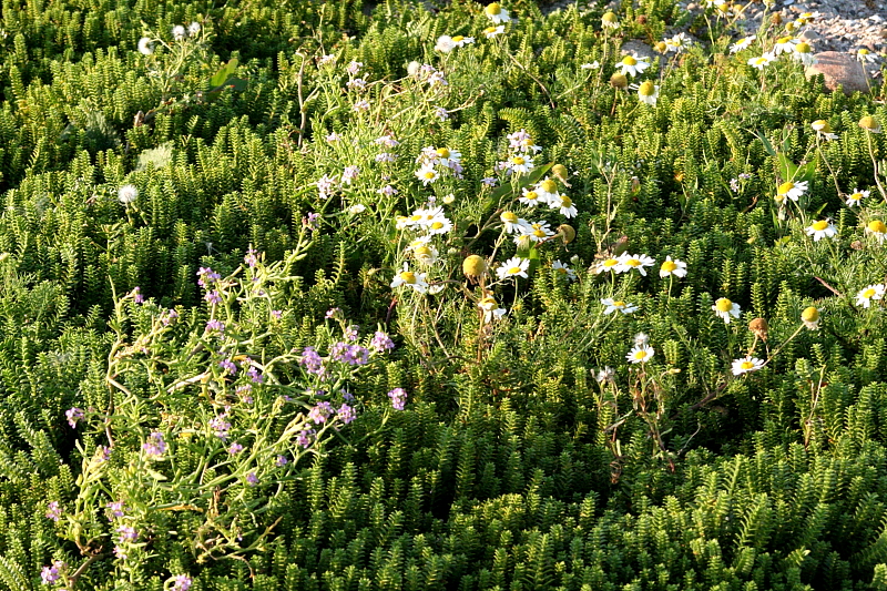 Killikus&reg; Fotographie