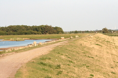 Killikus&reg; Fotographie