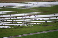 Killikus&reg; Fotographie