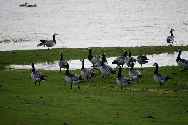 Killikus&reg; Fotographie