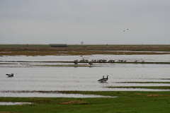 Killikus&reg; Fotographie