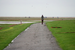 Killikus&reg; Fotographie