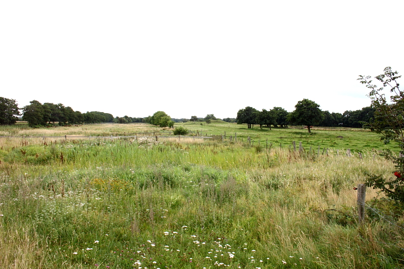 Killikus&reg; Fotographie