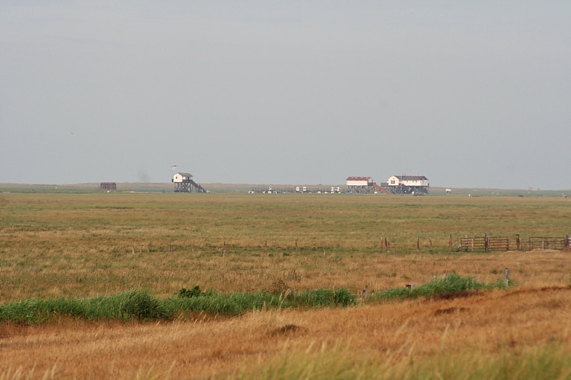 Killikus&reg; Fotographie