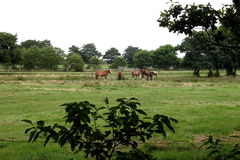 Killikus&reg; Fotographie