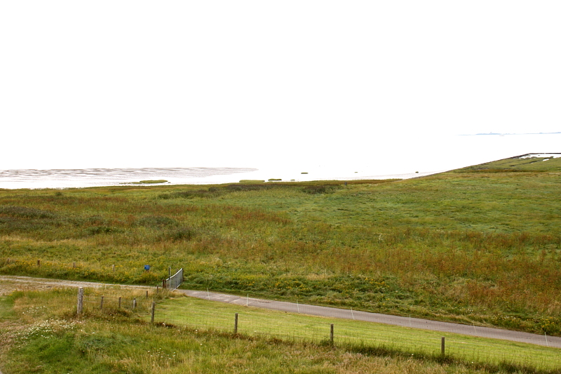 Killikus® Fotographie Killikus® Fotographie