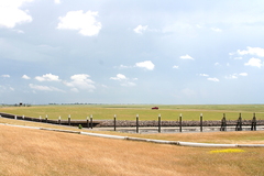 Killikus&reg; Fotographie