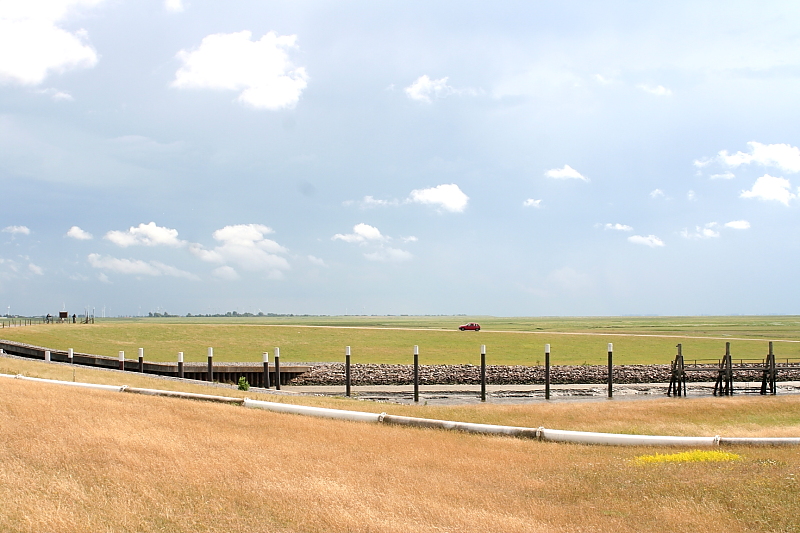 Killikus&reg; Fotographie