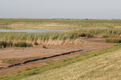 Killikus&reg; Fotographie