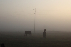 Killikus&reg; Fotographie