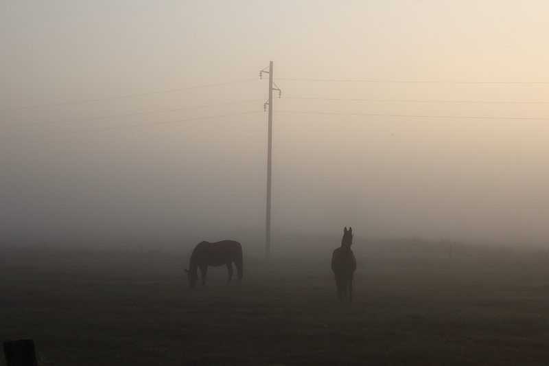 Killikus® Fotographie Killikus® Fotographie