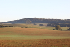 Killikus&reg; Fotographie