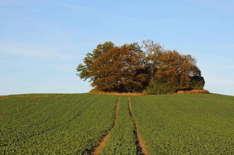 Killikus&reg; Fotographie