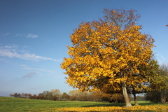 Killikus&reg; Fotographie