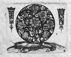 Killikus&reg; Fotographie