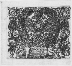 Killikus&reg; Fotographie