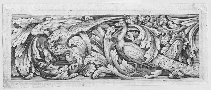 Killikus&reg; Fotographie