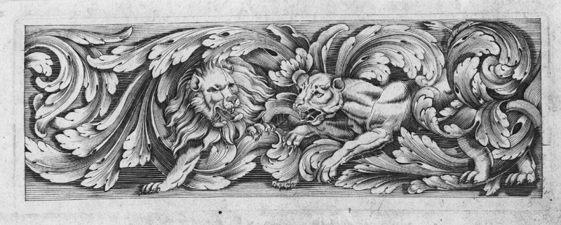 Killikus&reg; Fotographie