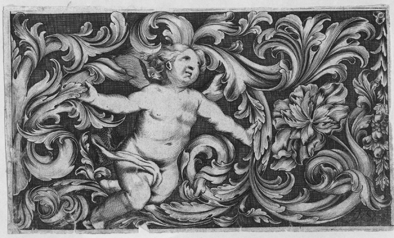 Killikus&reg; Fotographie