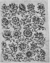 Killikus&reg; Fotographie