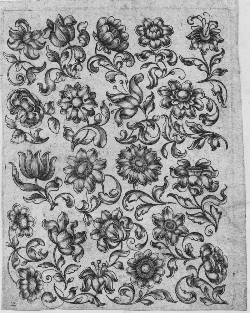 Killikus&reg; Fotographie