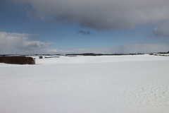 Killikus&reg; Fotographie