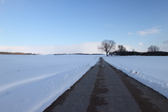 Killikus&reg; Fotographie