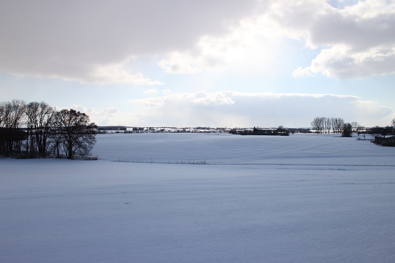 Killikus® Fotographie Killikus® Fotographie