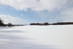 Killikus&reg; Fotographie