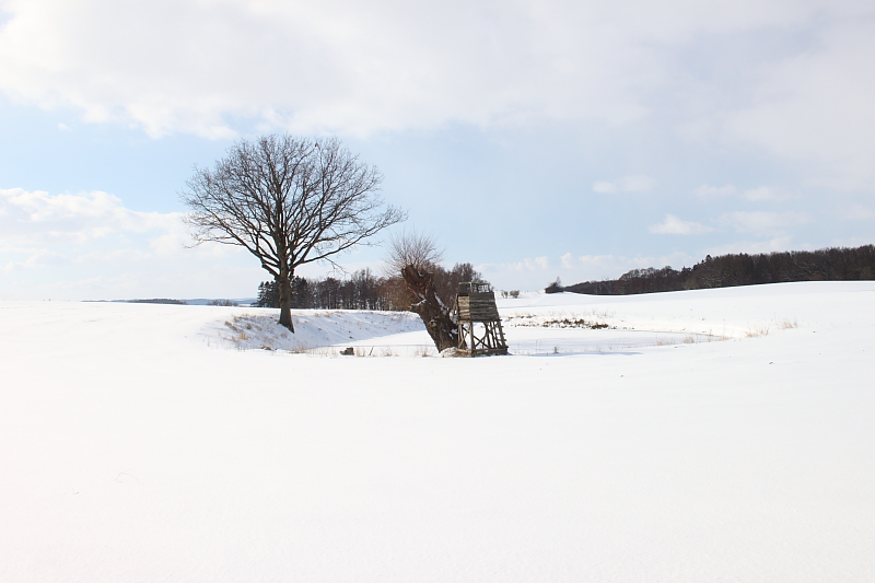 Killikus&reg; Fotographie