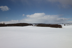 Killikus&reg; Fotographie