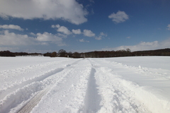 Killikus&reg; Fotographie