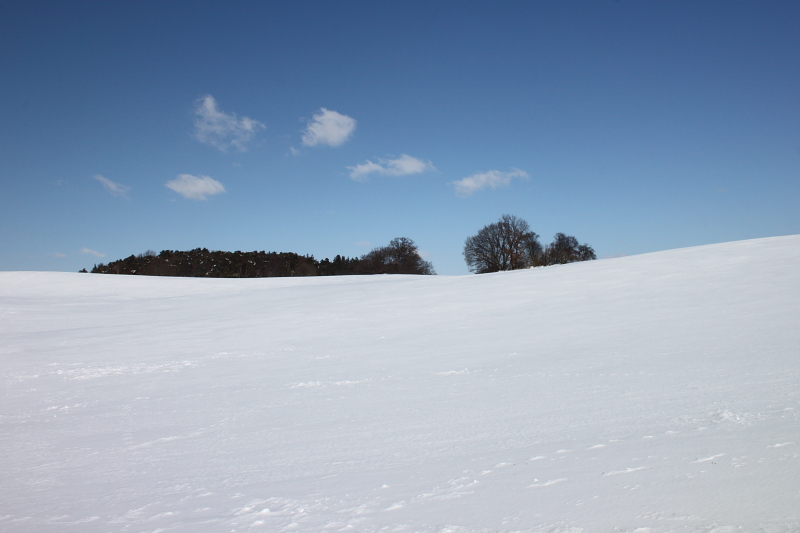 Killikus&reg; Fotographie