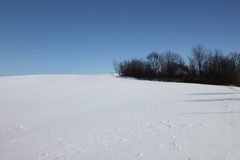 Killikus&reg; Fotographie