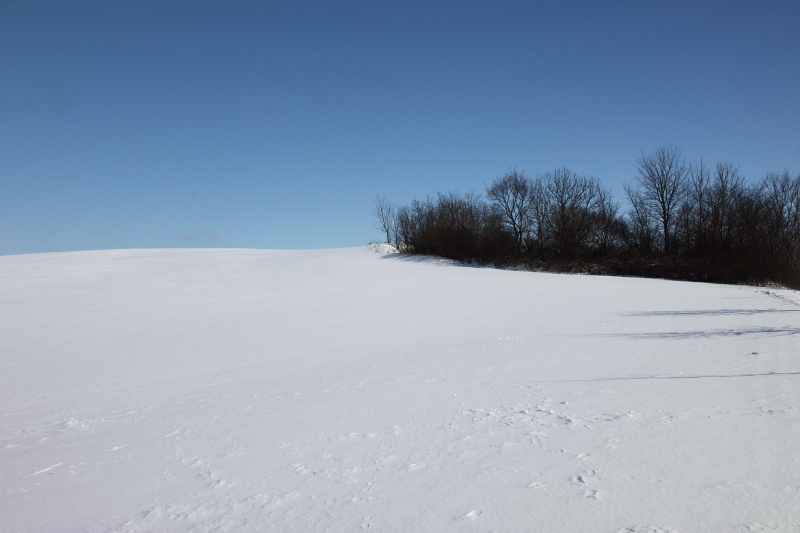 Killikus® Fotographie Killikus® Fotographie